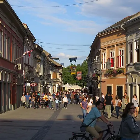 8 * Novi Sad