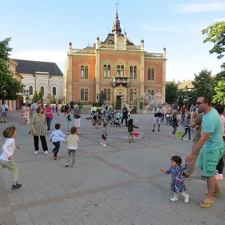 8 Novi Sad