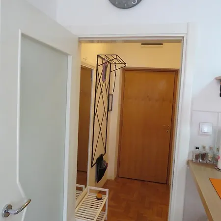 8 * Novi Sad