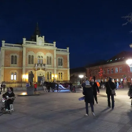 8 * Novi Sad